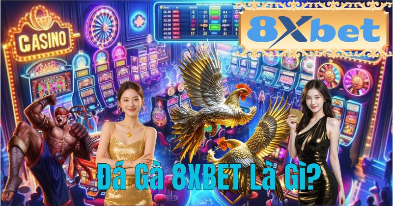 Đá Gà 8XBET Là Gì?