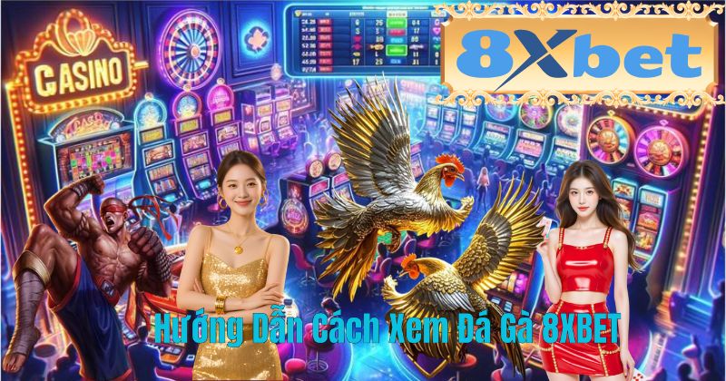 Hướng Dẫn Cách Xem Đá Gà 8XBET